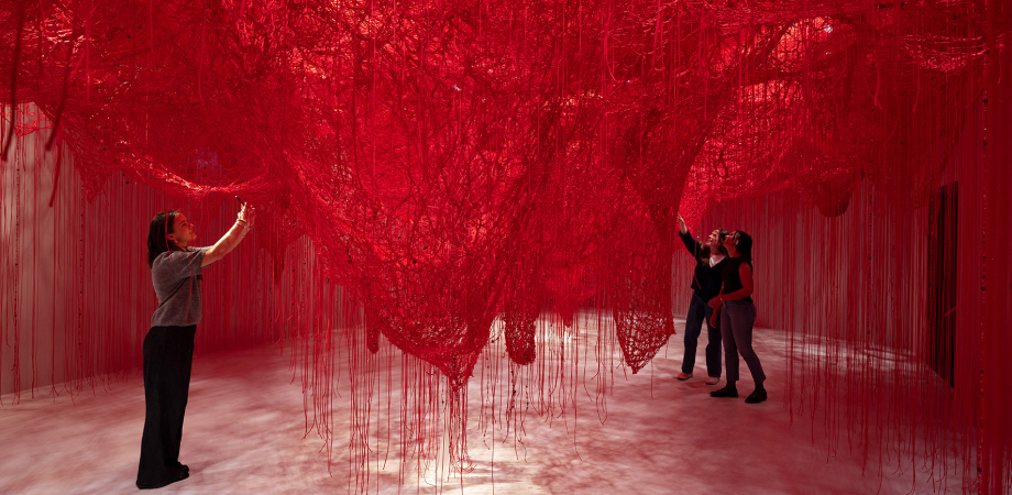 Kryštalizácia identity od Chiharu Shiota